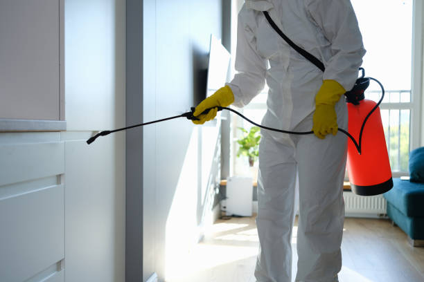 Best Certified Mold Removal  in Ridge, NY